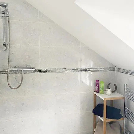 펜션 Shannon Castle Type B By Trident Homes Ballysteen